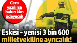 Eskisi - yenisi 3 bin 600 vekile ayrıcalık! Ceza yazılırsa bakın kim ödeyecek